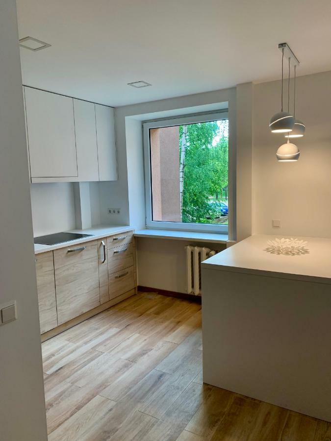 Alytus Apartament Екстер'єр фото